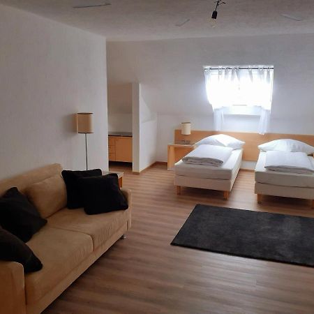Apartment City Metzingen Reutlingen Esterno foto
